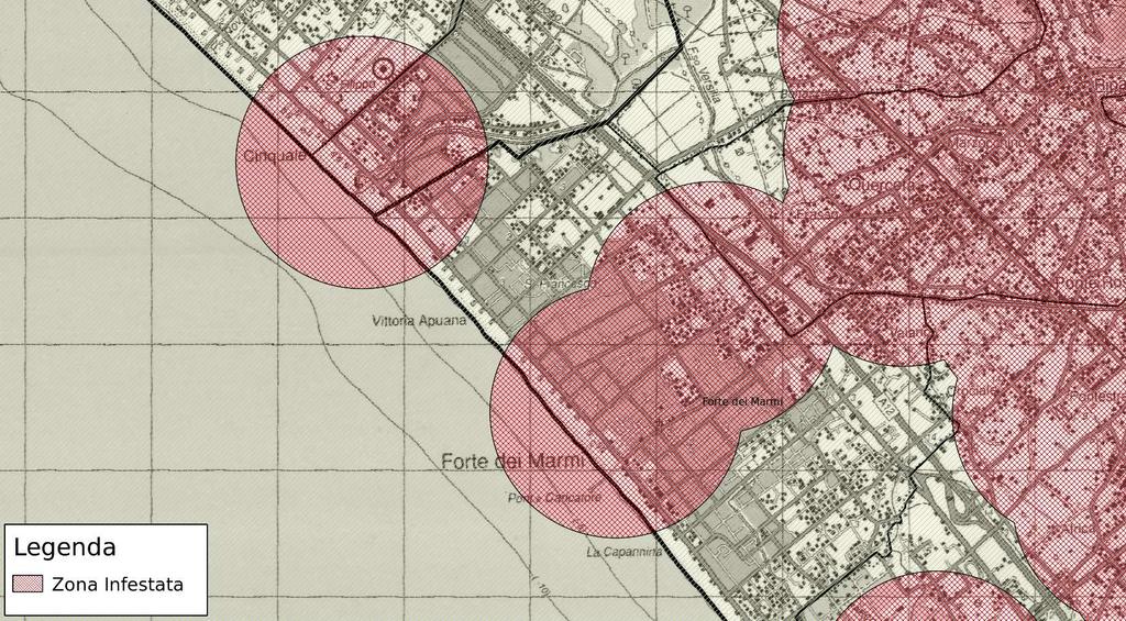 8: Comune di Forte dei Marmi