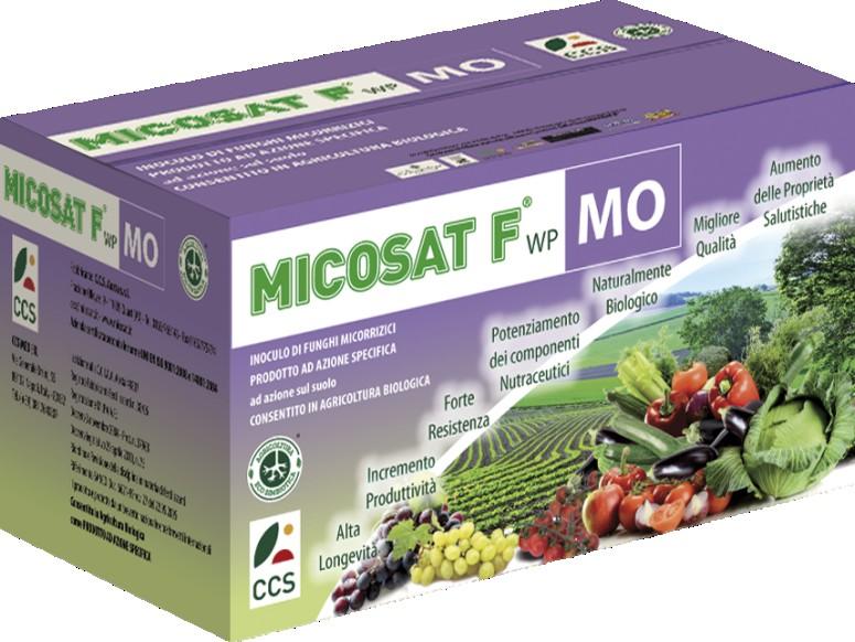 I consorzi microbici Università di Napoli L utilizzo dei consorzi microbici benefici con azione sinergica: MICOSAT F (CCS Aosta) MICRORGANISMI CHE COMPONGONO IL MICROBIOMA Micorrizze: Glomus viscosum