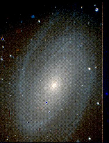 M81