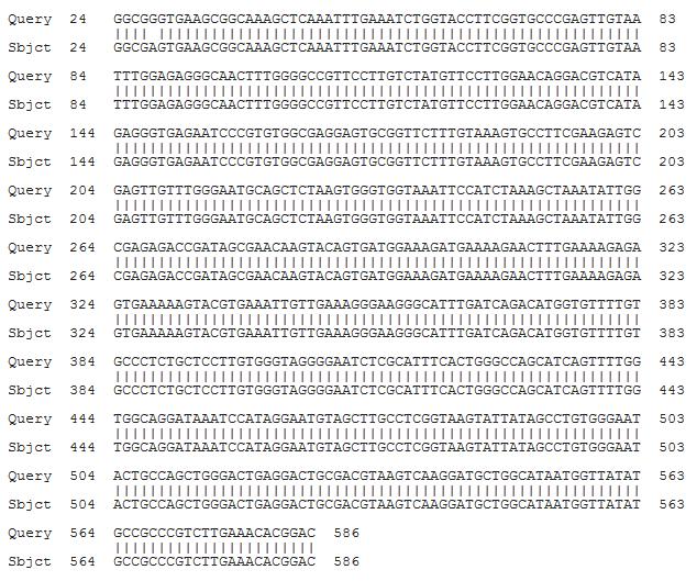 sequenze di DNA ottenute con quelle contenute in specifici