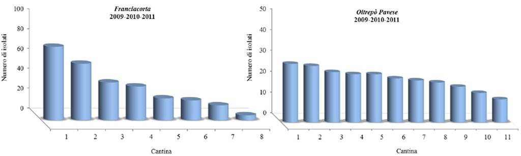 COLLEZIONE DI LIEVITI Vendemmia e Origine TOTALE LIEVITI RACCOLTI: 493 Numero di isolati Vendemmia e Origine Numero di isolati Vendemmia e Origine Numero di isolati 2009 178 2010 186 2011 129