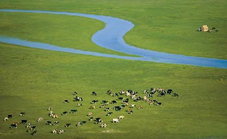 Le vere protagoniste del paesaggio russo Depressioni Caspica (sotto