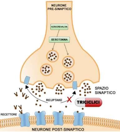 ANTIDEPRESSIVI TRICICLICI Inibitori non selettivi