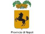 PROVINCIA DI NAPOLI DELIBERAZIONE DI GIUNTA PROVINCIALE N. 487 DEL 23 ottobre 2014 Comune di San Gennaro Vesuviano.