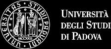 REGOLAMENTO DIDATTICO DEL CORSO DI LAUREA IN STATISTICA PER L'ECONOMIA E L'IMPRESA Art. 1 Premesse e finalità TITOLO I FINALITÀ E ORDINAMENTO DIDATTICO 1.