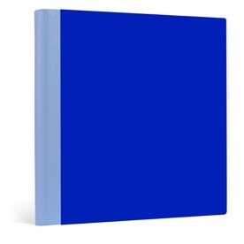 (Supplemento incisione 5,00 ) Fronte Plex 4517 verde chiaro Retro N100 bianco Fronte Plex 4814 blu Retro N704 blu Fronte Plex 4606