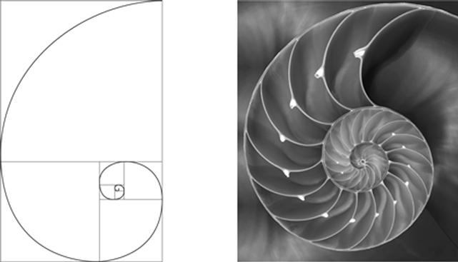 Efficienza della ricorsione ricorsione: tecnica efficace per ideare una soluzione, ma la soluzione ideata può essere inefficiente caso di studio: successione di Fibonacci f 1 = 1 f 2 = 1 f n = f n-1