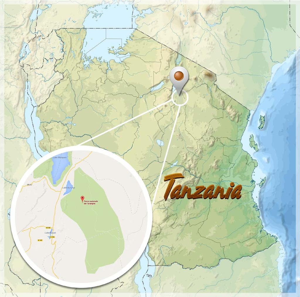 1 GIORNO: Arrivo JRO - Arusha All arrivo al Kilimanjaro International Airport, un rappresentante di Safari Explorers vi accoglierà per il trasferimento ad Arusha (circa 50 km) a 50 minuti