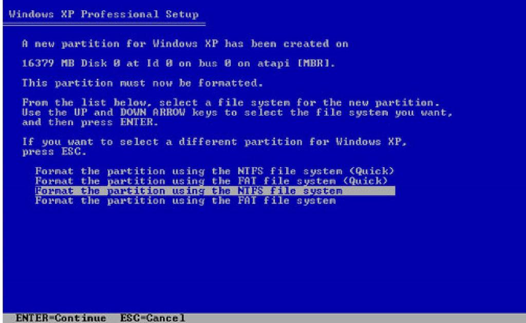 Non selezionare Formattare la partizione usando il File System NTFS (Rapida).