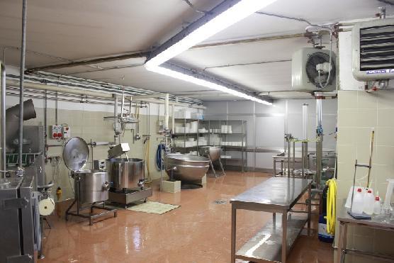 CONTENUTI Visite Azienda di produzione di macchine per produzione di paste filate Caseificio artigianale