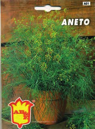 ANETO