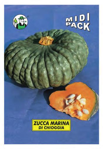 ZUCCA