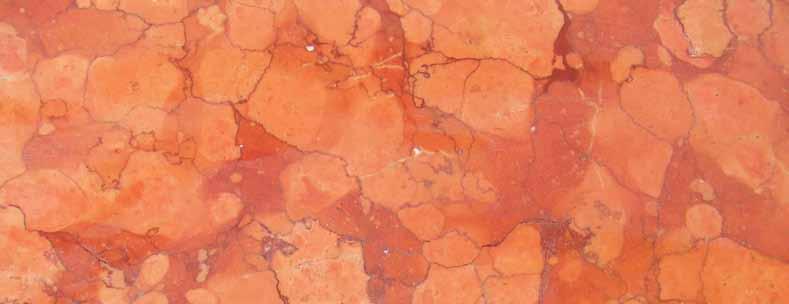 17 Rosso Verona La successione stratigrafica dei Lessini comprende formazioni prevalentemente calcaree e in parte di origine vulcanica di età compresa dal Trias Superiore al Miocene; più in