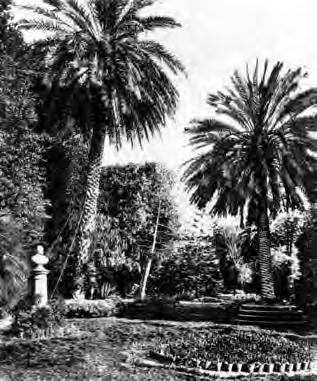 46 Eliana Mauro Fig. 11 G.B.F. Basile, Giardino Garibaldi, piazza Marina, Palermo, 1863 (cartolina; Biblioteca Comunale di Palermo, Coll. Di Benedetto) Fig. 12 G.B.F. Basile, cancello d ingresso del Giardino Garibaldi, piazza Marina, Palermo, 1863 (fotografia del 2008 di N.