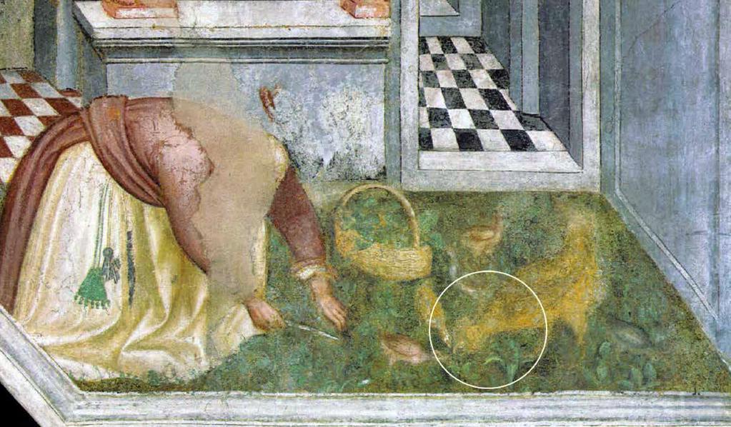 Introduzione Particolare di un affresco del 1397 di Jacopo da Verona La storia della razza Olandese ciuffata inizia nel Paese che l ha selezionata e che le ha dato il nome, l Olanda.