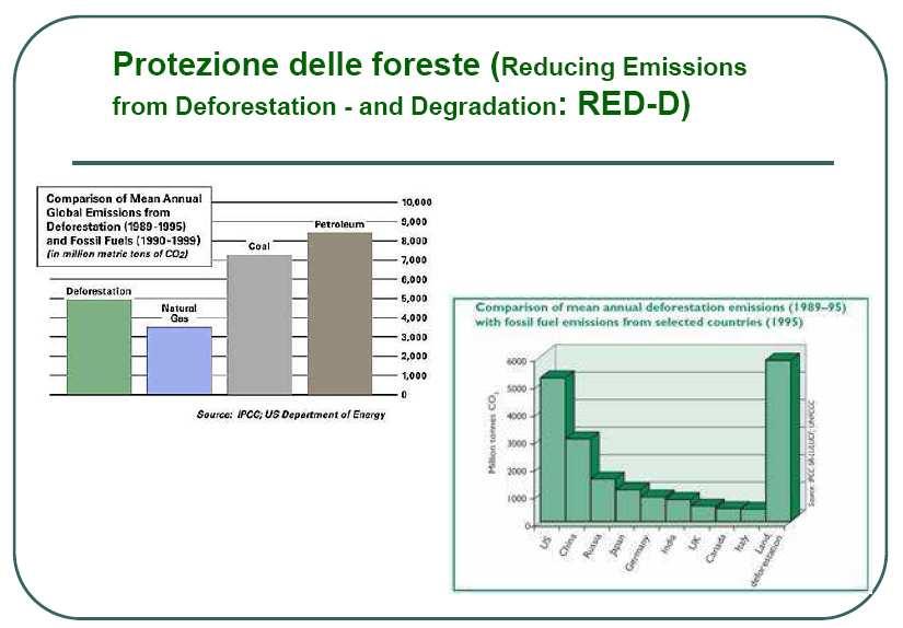 Il Protocollo di Kyoto e le attività forestali oggetto del negoziato post-2012 AVOIDING DEFORESTATION RED: solo deforestazione REDD: Reducing emissions from