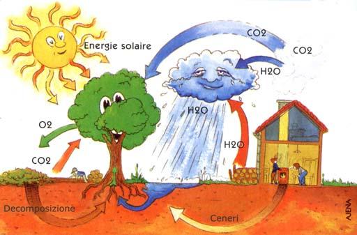 A parità di calore prodotto, la quantità di CO2 immessa in atmosfera utilizzando il gasolio è circa 2 volte maggiore rispetto all impiego del legno con i moderni