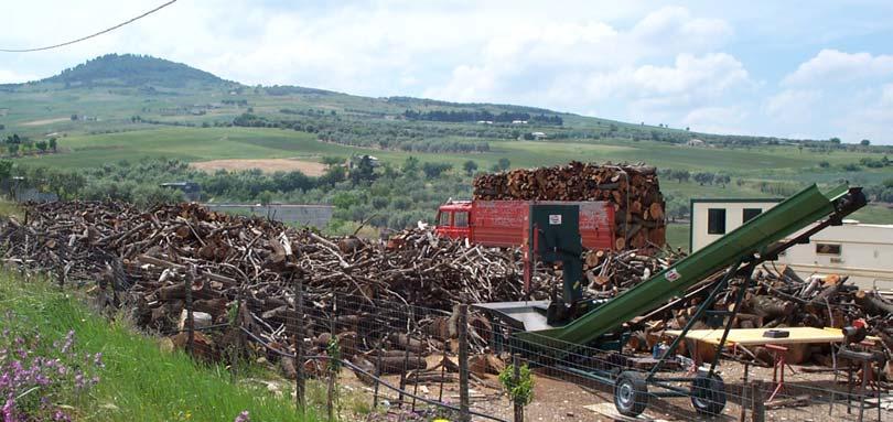 La rinnovabilità del Legno Energia I BENEFICI AMBIENTALI Nei combustibili legnosi la piccola percentuale