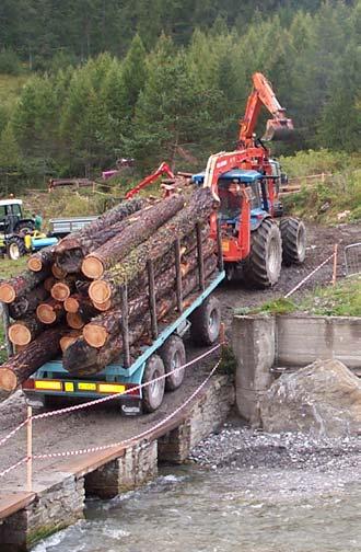 NON RINNOVABILE RINNOVABILE 12% 1% 8% 6% 4% 2% % GASOLIO CARBONE METANO LEGNO CIPPATO PELLET DI LEGNO