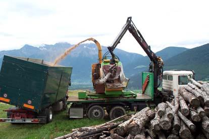 La gestione collettiva del bosco in una logica di