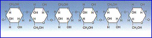 : il glucosio α glucosio β glucosio da sopra da sotto La