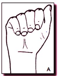 CONFIGURAZIONE Serve a definire la forma assunta dalla mano durante l'esecuzione del segno.