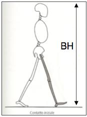 Normalizzazione spaziale ü La normalizzazione spaziale permette il confronto tra soggetti con differenze antropometriche Lunghezza del ciclo normalizzato [%BH] = Stride