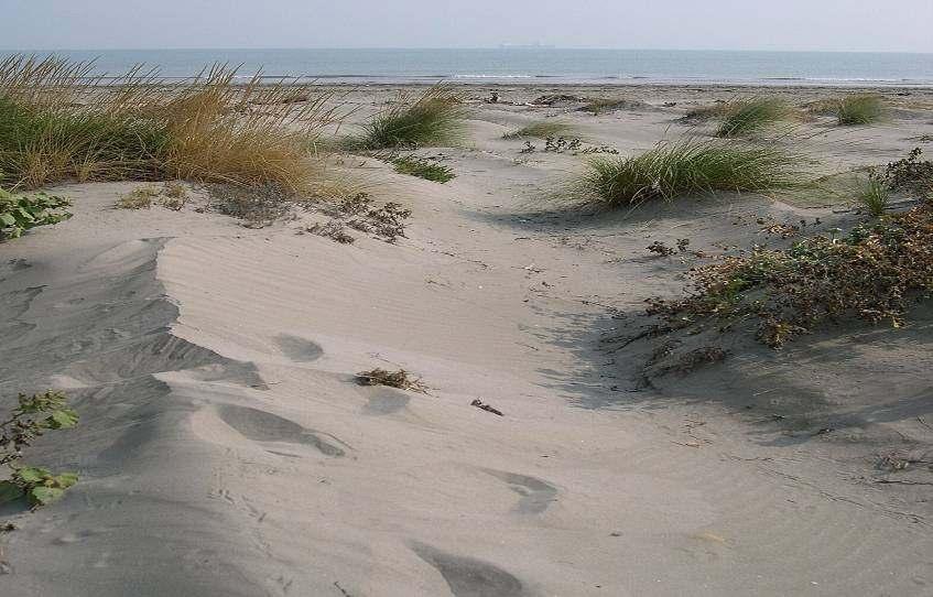 Le dune sabbiose