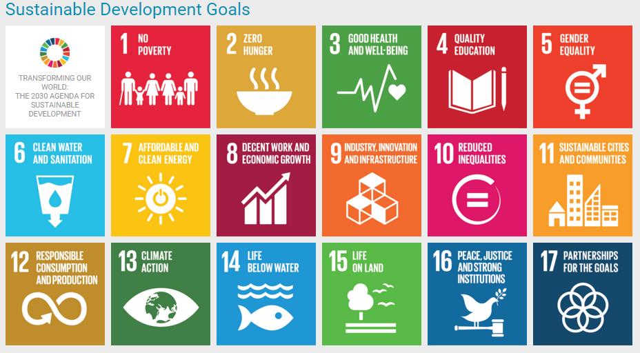 Agenda Globale 2030 Goals e Targets: obiettivi e traguardi per i prossimi