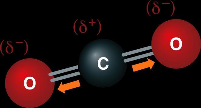 4.5 Forma e polarità delle molecole Le molecole in cui gli elettroni sono equamente condivisi,