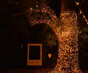 LUCI FAIRY LIGHT Filo di luci a LED, illuminazione diffusa e decorativa.