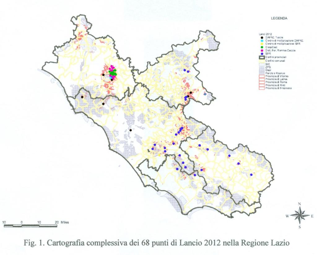 amministrazioni comunali di Vallerano, Canepina, Carbognano, Caprarola e Soriano nel Cimino e dalla Cooperativa Agricola Produttori Castagne di Vallerano, Canepina, Monti Cimini (33 rilasci).