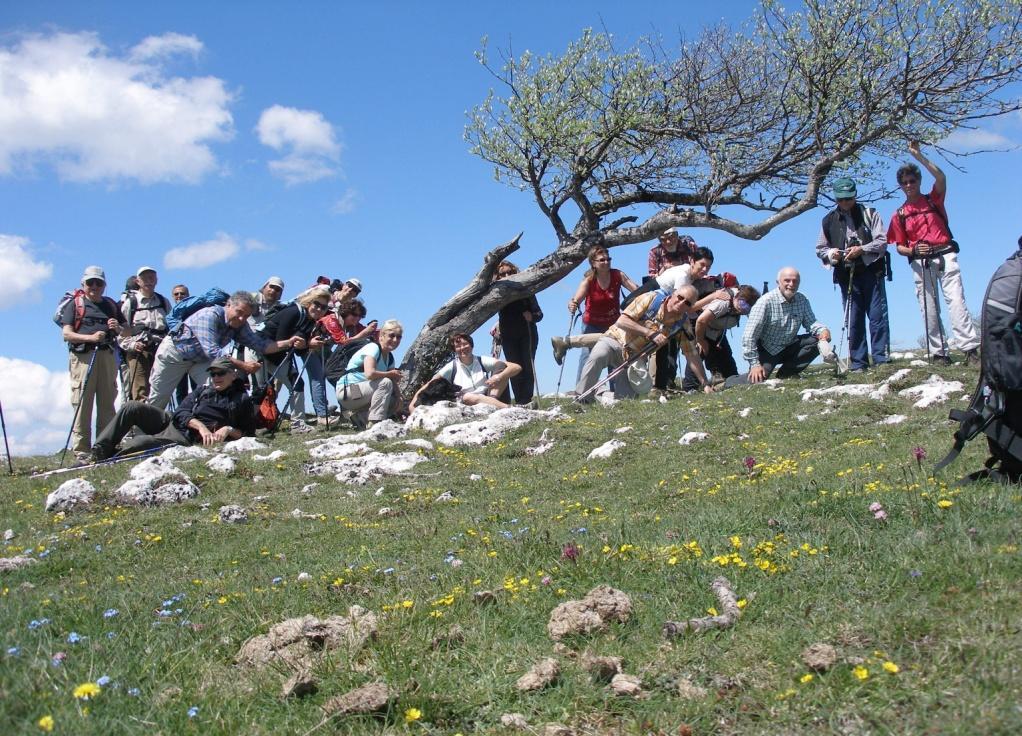 Il Gruppo Senior di Perugia Il gruppo organizza circa 40 gite l anno ed ha effettuato una uscita di più giorni sul Monte Baldo E stata organizzata una uscita treno-trekking a l'aquila per incontrare