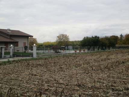 Il terreno è tenuto a prato a sfalcio con due esemplari arborei; al margine Est dell'area è presente un edificio ad uso deposito attrezzi, con