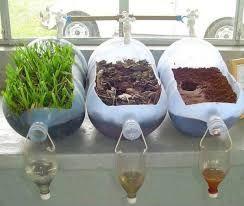 Tematica 3 Esperimento con le bottiglie -> 3 bottiglie tagliate come in figura -> innaffiatoio -> 3 suoli diversi - Zolla con erba - Suolo nudo -