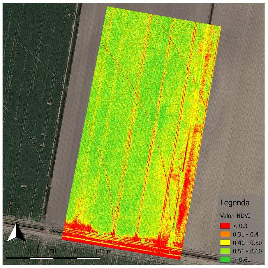 Droni per l AdP: monitoraggio colture orticole Rielaborazione di immagini