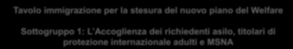 nuovo piano del Welfare Sottogruppo 1: L Accoglienza dei