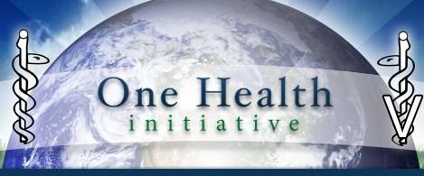Come affrontare le zoonosi Approccio di tipo One Health http://www.onehealthinitiative.com/index.