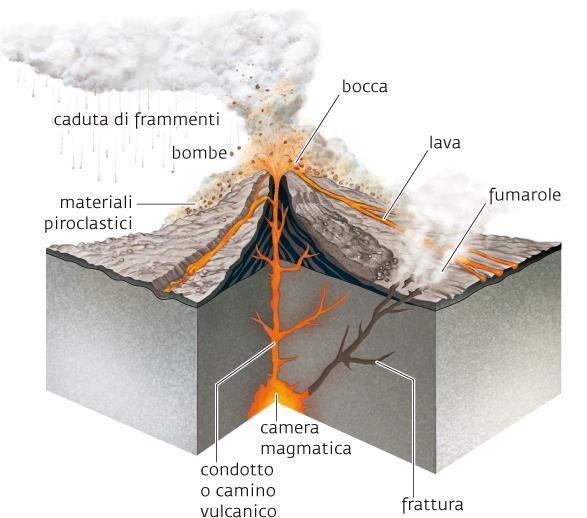 L eruzione vulcanica Spesso durante la risalita, il magma ristagna in un ampio serbatoio chiamato camera magmatica.