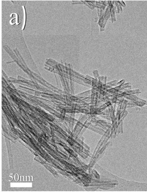Il biossido di titanio (TiO 2 ) si presenta sotto forma di nanoparticelle con dimensione