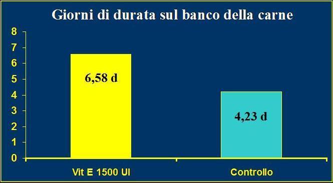 animali che sulla carne dove si