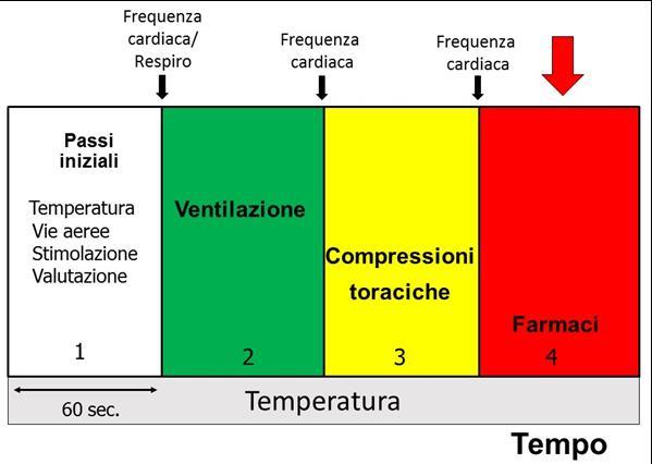 b) Quando somministrare i farmaci In corso di rianimazione neonatale i farmaci sono indicati quando la frequenza cardiaca rimane inferiore a 60 bpm dopo 60-90 secondi di ventilazione a pressione