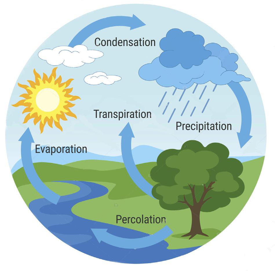 In Out In natura, scarti e acqua si rigenerano attraverso il ciclo della materia e il ciclo dell acqua.
