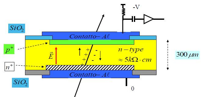 CAMERE A IONIZZAZIONE A STATO SOLIDO Di principio, degli elettrodi depositati su un cristallo isolante consentono di realizzare un contatore a ionizzazione.