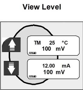 6. Livello di Visualizzazione (View Level) E il livello di normale funzionamento, nel quale compaiono a display tutti i valori misurati e lo stato dell uscita analogica, dell uscite a Relè Se lo