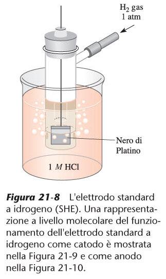 Elettrodo standard ad idrogeno Il valore del potenziale di riduzione di un elettrodo è definito in una scala il cui valore zero è convenzionalmente assegnato al potenziale di riduzione di un