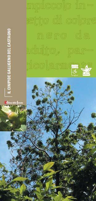 5. Divulgazione (2) 3. Presentazione del report annuale sullo stato delle foreste toscane 4.