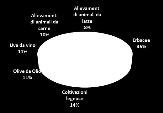 Metodologia Campionamento Il Panel Ismea delle aziende agricole consta di 800 unità circa, individuate a partire dalle liste del Registro delle imprese di Infocamere.