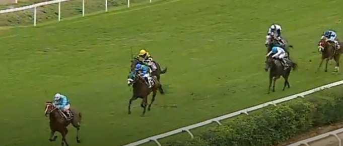 5) fb2 - Holy roman emperor (ire) e Lady acclaim (gb) - Mimmocchi Mi. _11. Roma 14.12.18 El Ab. 52.5 terr. aw st.11 maiden 2 e.8.800 m.1200 p. P.All Weather RAT.65.0 - VAL.70.0 - TOT.86.29 - QINI.66.