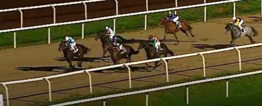 5) fb2 - Society rock (ire) e Galleta (gb) - El Ab. _12. Roma 09.11.18 Dettori Fr. 54 terr. pesante st.11 maiden 2 e.15.400 m.1200 p. P.Dritta RAT.60.0 - VAL.70.0 - TOT.9.41 - QINI.101.00 - QFIN.6.00 1.